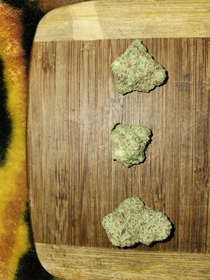 Wikid carnage marijuana lounge  – screenshot 1