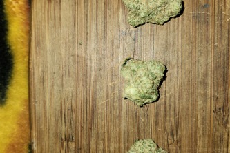 Wikid carnage marijuana lounge 