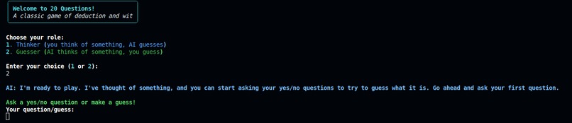 Twenty Questions – screenshot 1