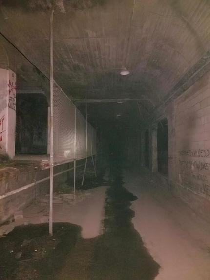 LiDAR, Digital Twins, and the Future of Urban Heritage – screenshot 3