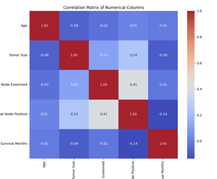 Breast Cancer Data Analysis – screenshot 6