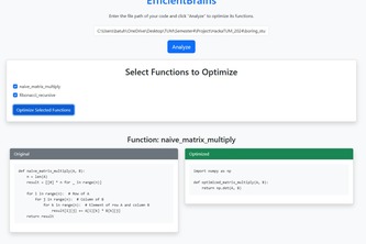 EfficientBrains