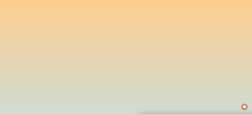 Chill Guy Chatbot – screenshot 2