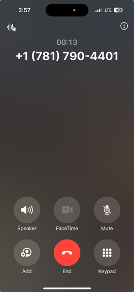 CALLWISE – screenshot 1
