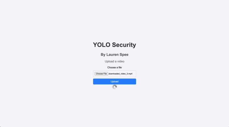 YOLO Security – screenshot 2