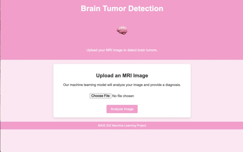 Brain Tumor Detection – screenshot 1