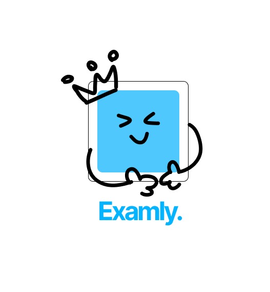 Examly – screenshot 1