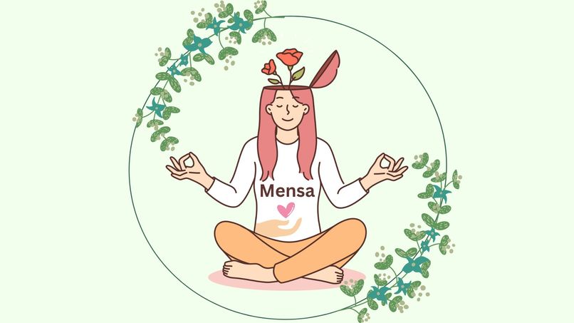 Mensa  – screenshot 1