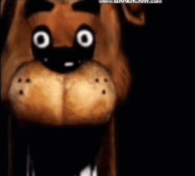 don pollo chicken review llc – screenshot 1