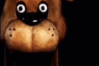 don pollo chicken review llc