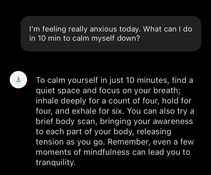 Mediatation Coach – screenshot 3