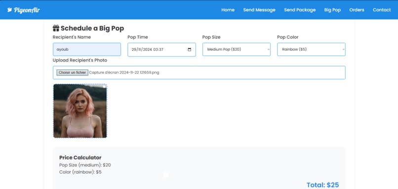 PigeonAir – screenshot 4