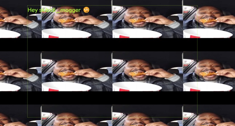 skibidi signin – screenshot 2