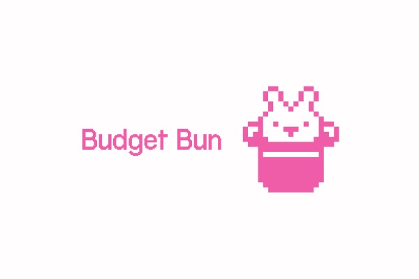 BudgetBun – screenshot 1