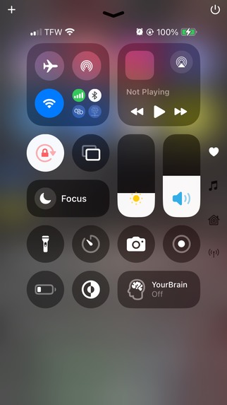 YourBrain – screenshot 9