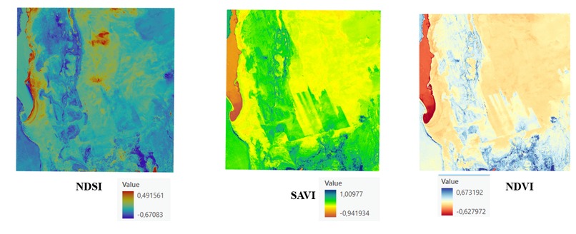 Determination of the salinity level in the Aral Sea areas – screenshot 2