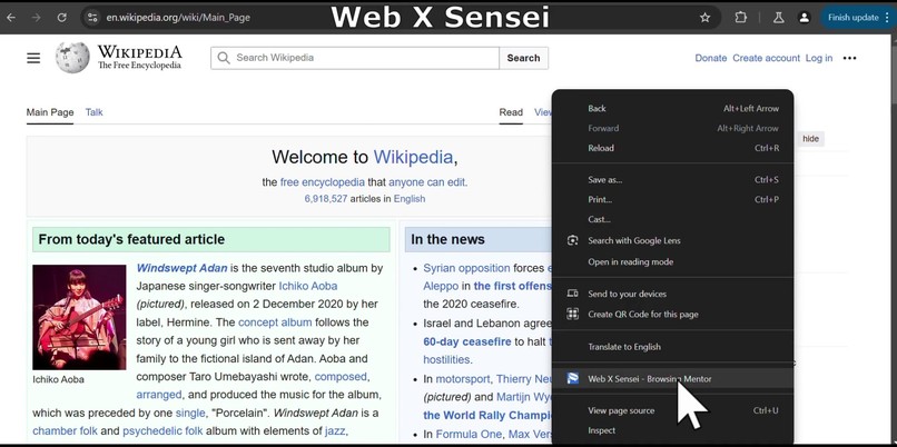 Web X Sensei: Enlightening Your Web Browsing Journey – screenshot 13