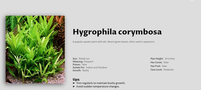 Green Haven – screenshot 3