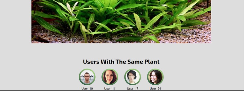 Green Haven – screenshot 6