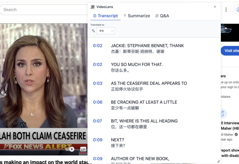 VideoLens – screenshot 4