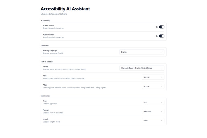 Accessibility AI Assistant – screenshot 4