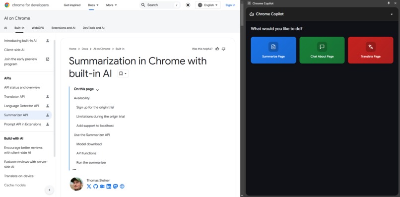 Chrome Co-pilot – screenshot 2