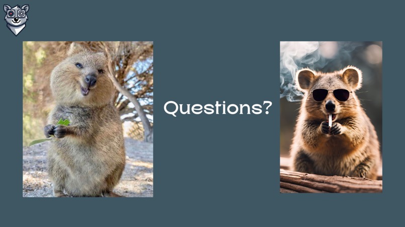 Quokspie - Team 20 – screenshot 10