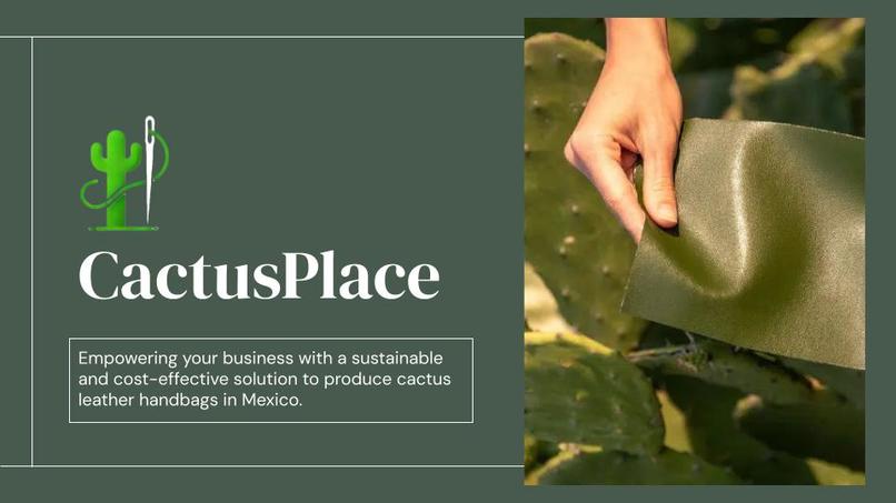 Team 8: CactusPlace – screenshot 1