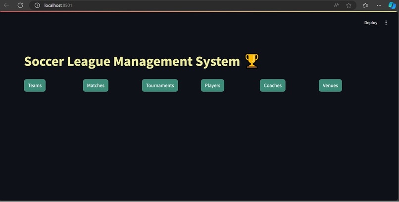 SLIM - Soccer League Integrated Managament (CRUD Hack) – screenshot 4