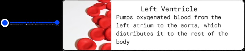 cardioAR – screenshot 4