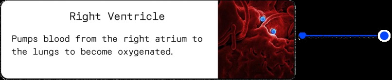 cardioAR – screenshot 2