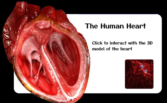 cardioAR – screenshot 3