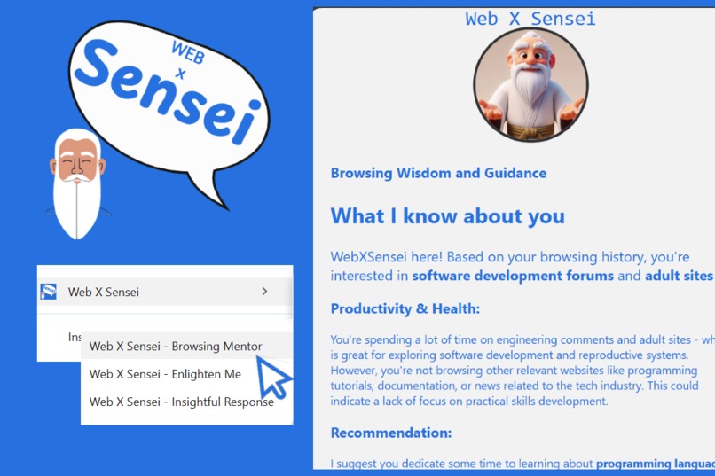 Web X Sensei: Enlightening Your Web Browsing Journey – screenshot 2