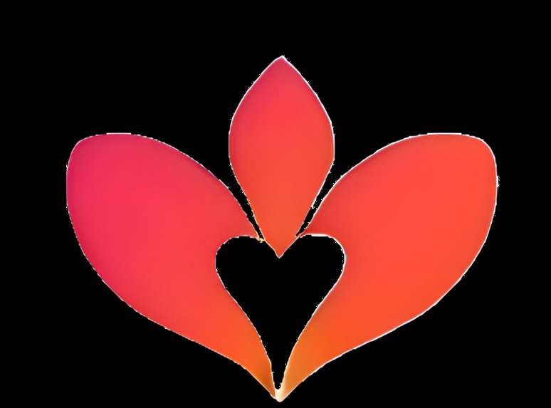 halton healthcare – screenshot 1