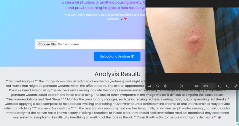 Chikitsa , Your friendly ai Companion – screenshot 1