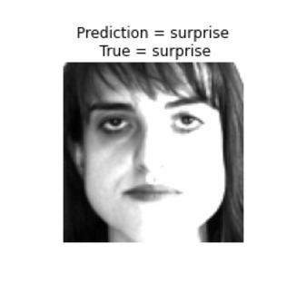 Empathis  – screenshot 4