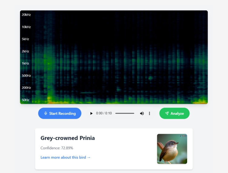 Pakheta – screenshot 4