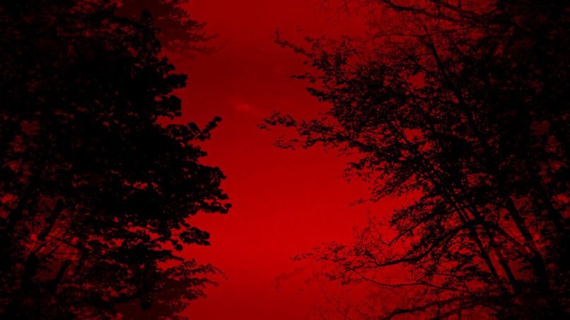 fortunee teller – screenshot 1