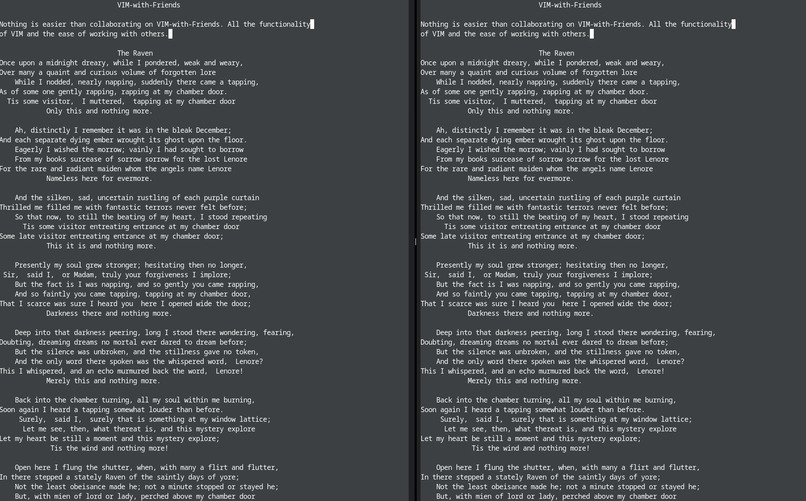 Vim-with-Friends – screenshot 1
