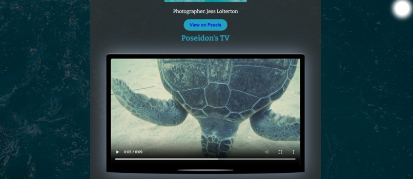 Posiedon AI ( Marine biodiversity AI) – screenshot 4