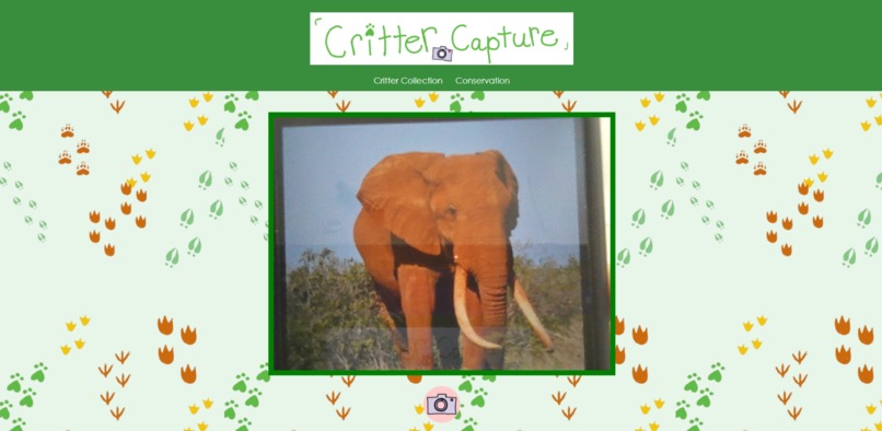 Critter Capture – screenshot 1