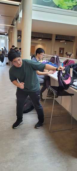 Swiper, No Swiping! – screenshot 6