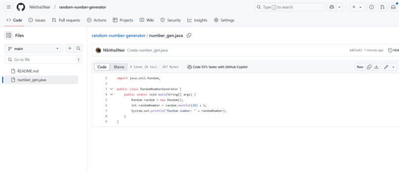 random number generator – screenshot 1