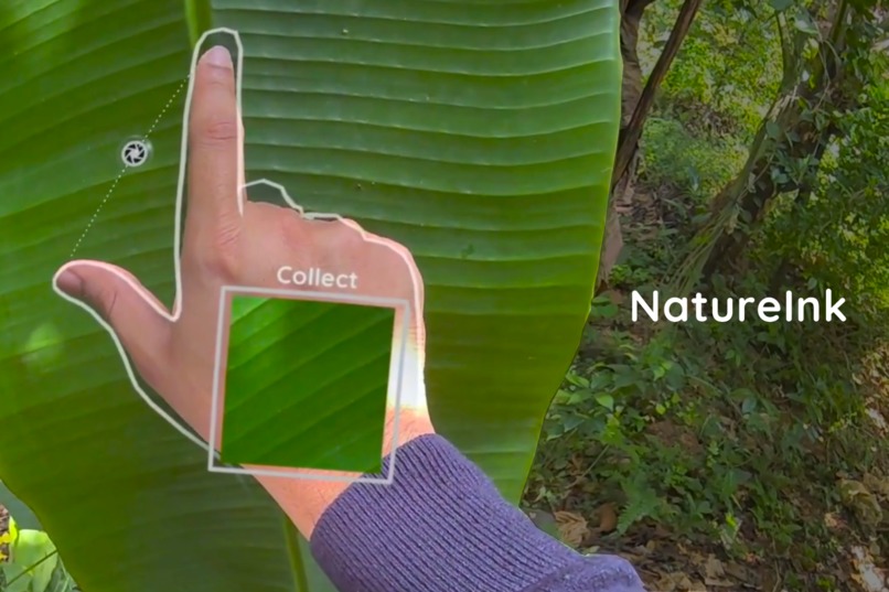 NatureInk AI – screenshot 1