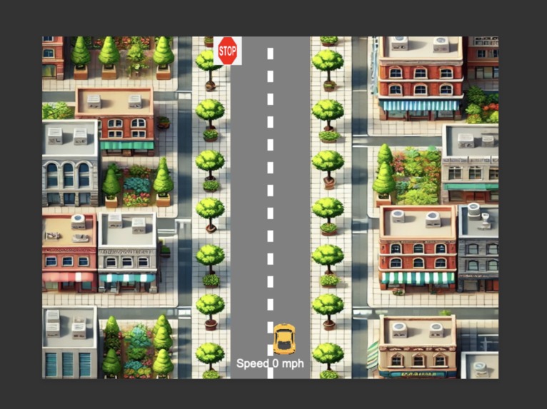 Road Rules Permit Practice – screenshot 2