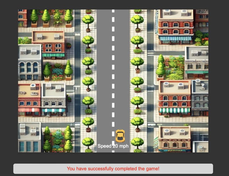 Road Rules Permit Practice – screenshot 4