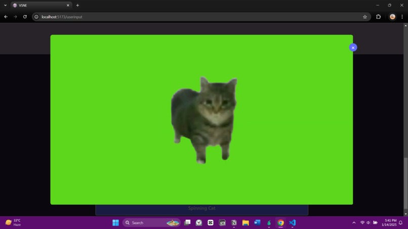 VSNE – screenshot 8