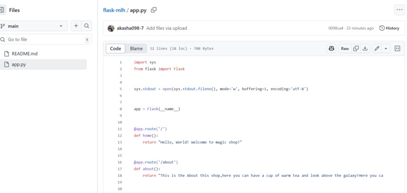 Flask app – screenshot 5