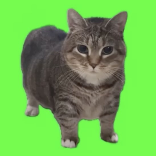 CATLOLL – screenshot 1