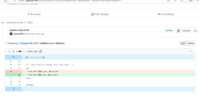 'First open source contribution' – screenshot 2